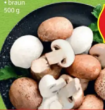 Hofer Hofer Marktplatz Champignons Angebot