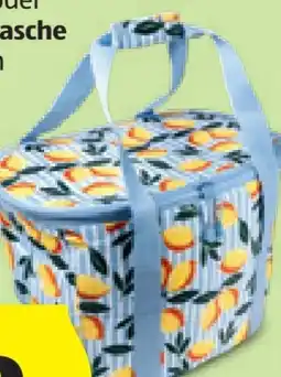 Hofer LS Live in Style Picknick-Kühltasche Angebot