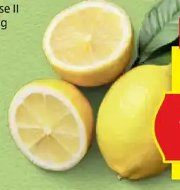 Hofer Hofer Marktplatz Bio-Zitronen Angebot