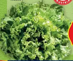 Hofer Hofer Marktplatz Bio-Spezialsalat Angebot