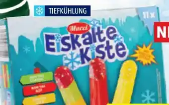 Hofer Mucci Eiskalte Kiste Angebot