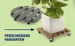 Hofer Gardenline Pflanzenroller Angebot