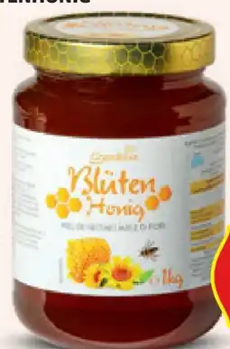 Hofer Grandessa Blütenhonig Angebot