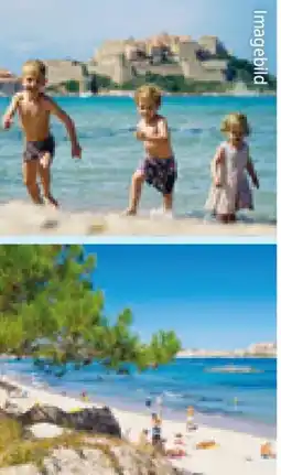 Hofer Hofer-Reisen Korsika Calvi-Frankreich Angebot