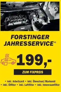 Forstinger Forstinger jahresservice Angebot