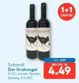 T&G Schandl der krahvogel Angebot