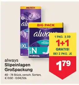 MPreis always Slipeinlagen Großpackung Angebot