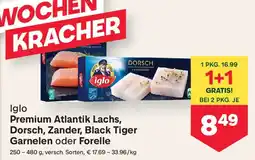 MPreis Iglo premium atlantik lachs, dorsch, zander, black tiger garnelen oder forelle Angebot