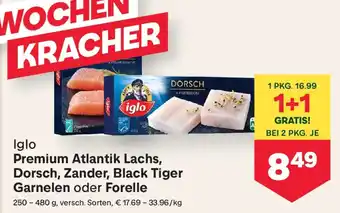Iglo premium atlantik lachs, dorsch, zander, black tiger garnelen oder forelle