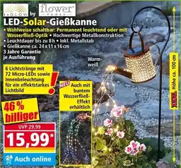 Norma Led-solar-gießkanne Angebot