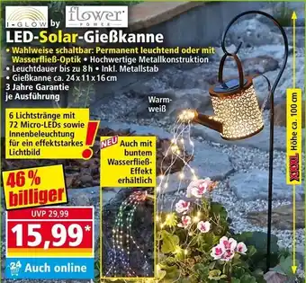 Norma Led-solar-gießkanne Angebot
