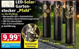 Norma Led-solar garten stecker pfahl Angebot
