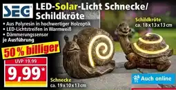 Norma Led-solar-licht schnecke schildkröte Angebot