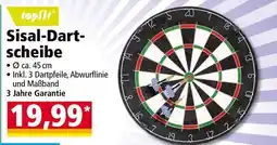 Norma Sisal-dart- scheibe Angebot