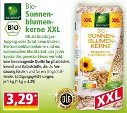 Norma Bio Sonnen blumen kerne XXL Angebot