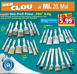 Norma Holz-Profi-Pinsel Angebot