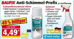 Norma Anti-Schimmel-Profis Angebot