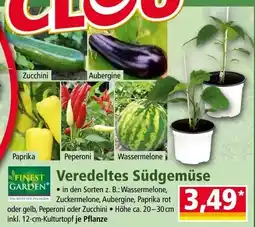 Norma Veredeltes Südgemüse Angebot