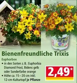 Norma Bienenfreundliche trixis Angebot