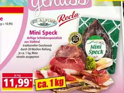Norma Mini Speck Angebot