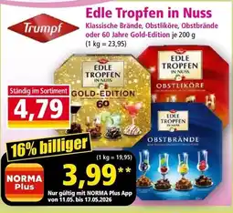 Norma Edle tropfen in nuss Angebot