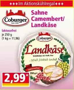 Norma Sahne camembert landkäse Angebot