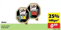 Nah&Frisch Sheba Angebot