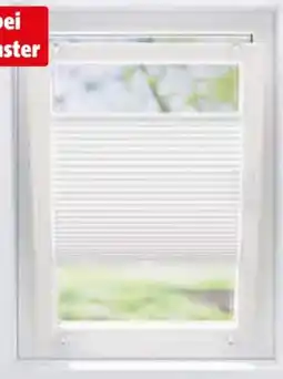 Hagebau Casaya Plissee Angebot