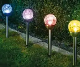 Hagebau Casaya LED-Solarerdspieß Viska Angebot