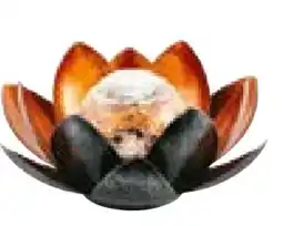 Hellweg Flector LED-Solar-Dekoleuchte Lotus Angebot