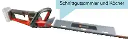 Hellweg Einhell Akku-Heckenschere GP-CH 18/61 Li BL-Solo Angebot