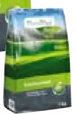 Hellweg Plantiflor Schattenrasen Angebot