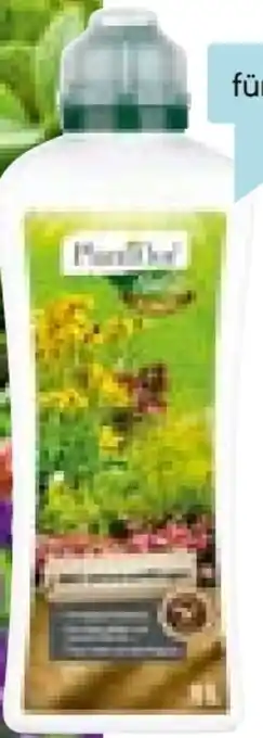 Hellweg Plantiflor Bio Universaldünger Angebot