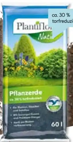 Hellweg Plantiflor Pflanzerde Angebot
