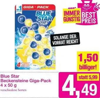 Sutterlüty Blue Star Beckensteine Giga-Pack 4x50g Angebot