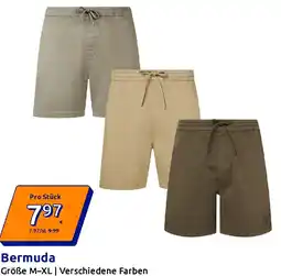 Action Bermuda Angebot