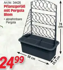 Zgonc Pflanzgefäß mit Pergola Blom Angebot