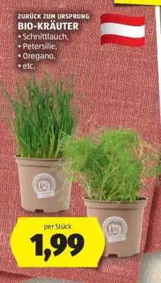 Hofer BIO-KRÄUTER Angebot