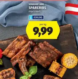 Hofer SONNHOF BBQ SPARERIBS mariniert Angebot