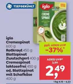 ADEG Iglo cremespinat Angebot