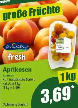 Norma Aprikosen Angebot