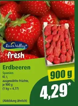 Norma Erdbeeren Spanien Angebot