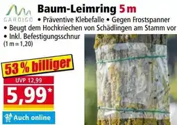 Norma Baum-Leimring 5m Angebot