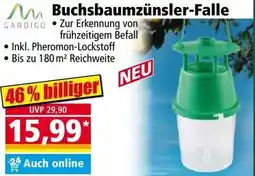 Norma Buchsbaumzünsler-Falle Angebot