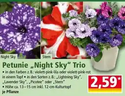 Norma Petunie Night Sky Trio Angebot