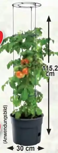 Zgonc Tomaten-Pflanztopf Angebot