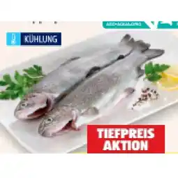 Hofer ASC Forelle im Doppelpack HOFER Angebot