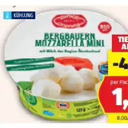 Hofer Bio-Bergbauern Mozzarella Mini HOFER Angebot