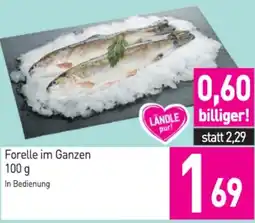Sutterlüty Forelle im Ganzen Angebot
