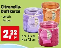 Thomas Philipps Citronella- Duftkerze Angebot